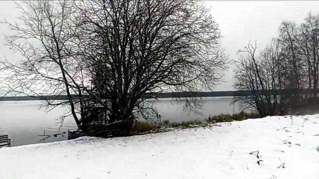 Озеро Гусиное / Турбаза Ладога Хоум ...27.11. 2025г.