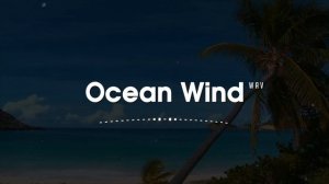 МУЗЫКА В МАШИНУ. КЛУБНАЯ МУЗЫКА. КЛИПЫ. Ocean Wind Tropical House Music 2025 Chillout Mix for Study