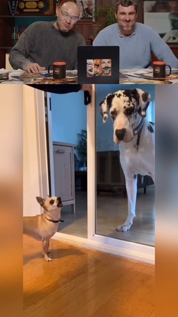 Поддержи подпиской 🙏🏻