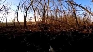 Наши вышли на опорник противника.