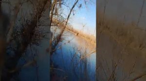 приехали к воде