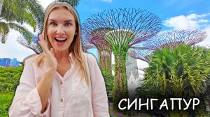 Сингапур - город мечты который нас разочаровал. Обзор города, цены, что посмотреть