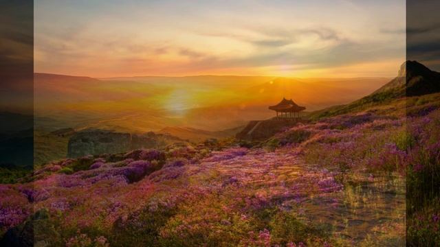 Дом восходящего солнца