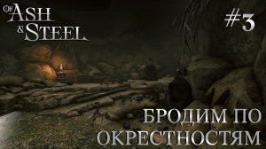 ПРОХОЖДЕНИЕ OF ASH AND STEEL: Бродим по окрестностям #3