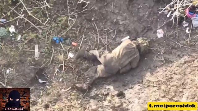 Кто не успел сдаться, тот опоздал