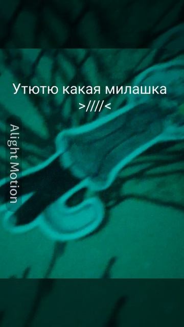 Утютю смотреть онлайн