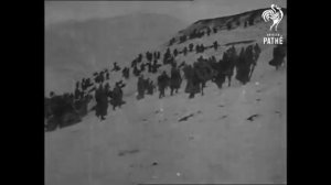 Вот вспыхнуло утро и выстрел раздался