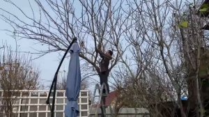 Я честно старался / Получилось, что получилось / Новый костюм / Подарок Маркуше / ВАТА