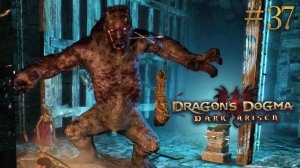 Твари из хранилища. Dragon's Dogma: Dark Arisen (Сложно) # 37