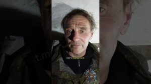 правильный навигатор привёз свиней прямиком в плен