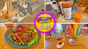 Индюшата подросли! Дима на развивавшках! Купили соковыжималку на Авито. Вкусный обед за 2000 руб!