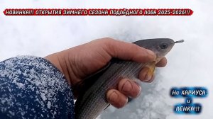 НОВИНКА!!!ЗИМНЯЯ РЫБАЛКА на МАРМЫШКУ 26 НОЯБРЯ!!! НА ХАРИУСА и ЛЕНКА!!!