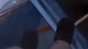 В Троицке опять бешеная лиса?