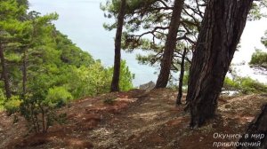 Под Геленджиком рушатся скалы. Скала Парус ещё стоит.