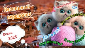 СП" Вязальный переполох Осень 2025 ". Ноябрь 2.