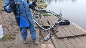 VID_20251130_103112_782