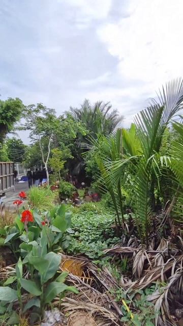 Очистка реки от мусора #экология @Hal99999999