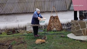 И снова грибы ...))