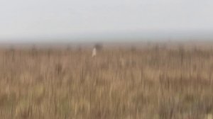 Федора. 30.11.25