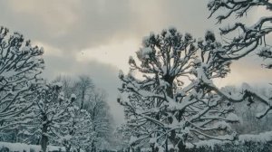 Новогодняя музыка на гуслях волшебная зимняя сказка  432 Гц - Дыхание Зимы