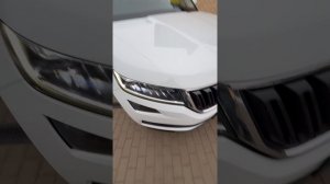 Кодиак 2019 г. 2.0 бензин