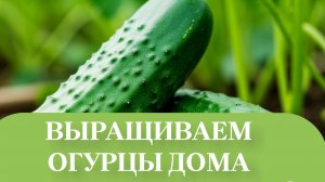 ДОБАВИЛ  СВЕТ, РЕЗУЛЬТАТ НА ЛИЦО.