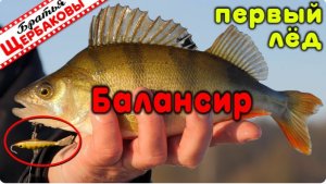 Ловля на БАЛАНСИРЫ. Первый ЛЁД!