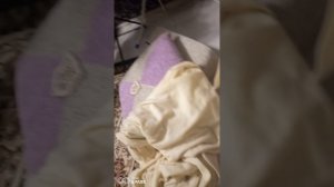 VID_20251130_180932.mp4