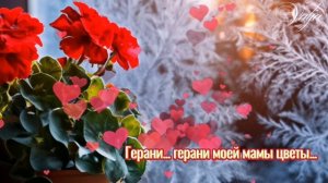 С Днём матери!!! 💞Герани, герани моей мамы цветы... Татьяна Свистунова