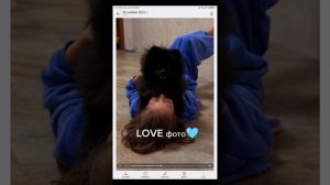 Обзорчик голереи 🫟🫟🫟🫟