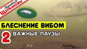 Советы для начинающих Ловля на ВИБЫ с классическими ПОДБРОСАМИ. Как определять ВЕЛИЧИНУ ПАУЗ