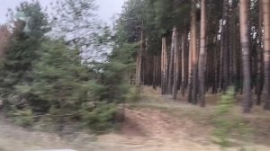 СЛИВКИ _ в ДОМАШНИХ условиях!. Поехали _ за СЕНОМ!.