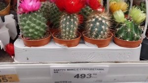 Прогулка по магазинам!