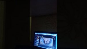 дурачим Рыжика Кота