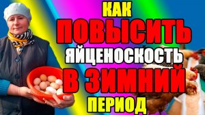 Как ПОВЫСИТЬ яйценоскость в ЗИМНИЙ период.