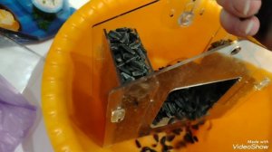 27.)30.11.25.Моя городская жизнь 👩🏢❄️❄️❄️.