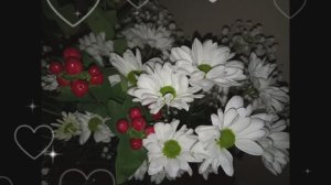 Цветы от дочки в День матери.mp4