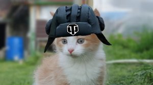 Море Призов_Большой Замес На Урон Tanks Blitz Tanks Blitz Танкиблиц Танки Блиц Танк