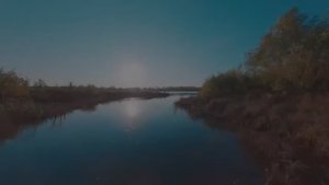 🔴Виктория Барс - «Разлилась речка быстрая»🔴