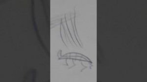 ЧЕРЕПАХА И ЁЖ И ЯГУЯР 😂🤣