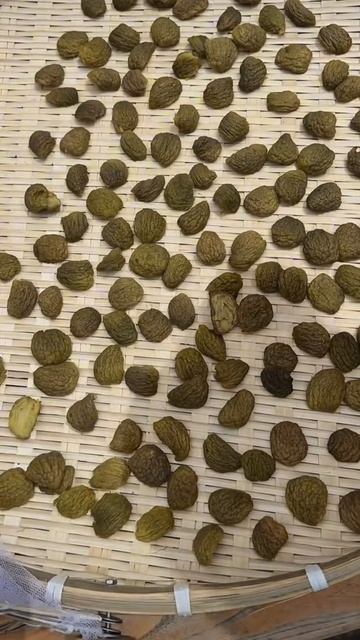 Китаец из деревни сделал...