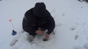 ОЗЕРО УФИМСКОЕ ЖЕРЛИЦЫ