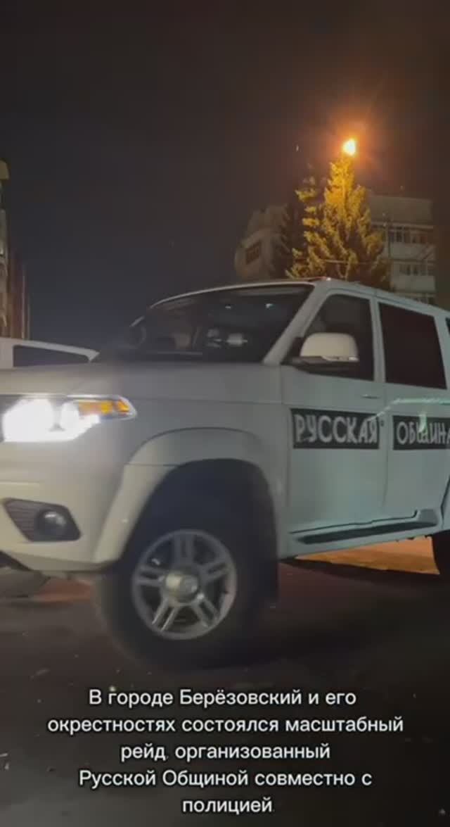 В городе Березовский состоялся патруль Дружины Русской Общины и полиции