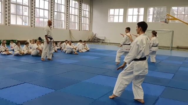 30-11-2025 組手、形、三日月クラブ смотреть онлайн