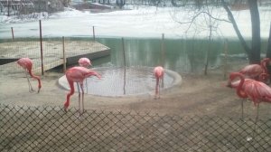 Завтра зима, завтра красА