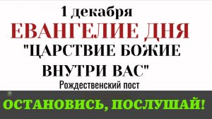 Евангелие дня. Что значит Царствие Божие внутрь вас есть. Ответ Христа (Лк. 17.20-25)