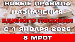 СРОЧНО Новые правила назначения Единого пособия с 1 января 2026 Важно 8 МРОТ