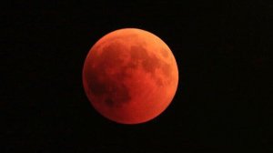 🈺🧡💚ГОРОСКОП НА НЕДЕЛЮ 1-7 ДЕКАБРЯ. ПОЛНОЛУНИЕ В БЛИЗНЕЦАХ♊