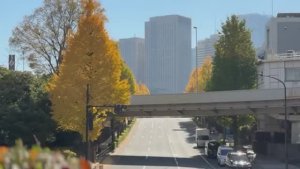 Жизнь с Нами (Япония) - Успокаивающая вечерняя рутина,чтобы восстановить настроение 29.11.2025