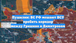 Пушилин: ВС РФ мешают ВСУ пробить коридор между Гришино и Димитровом